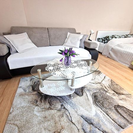 Aparthouse Apartamenty Centrum Sosnowiec Ngoại thất bức ảnh