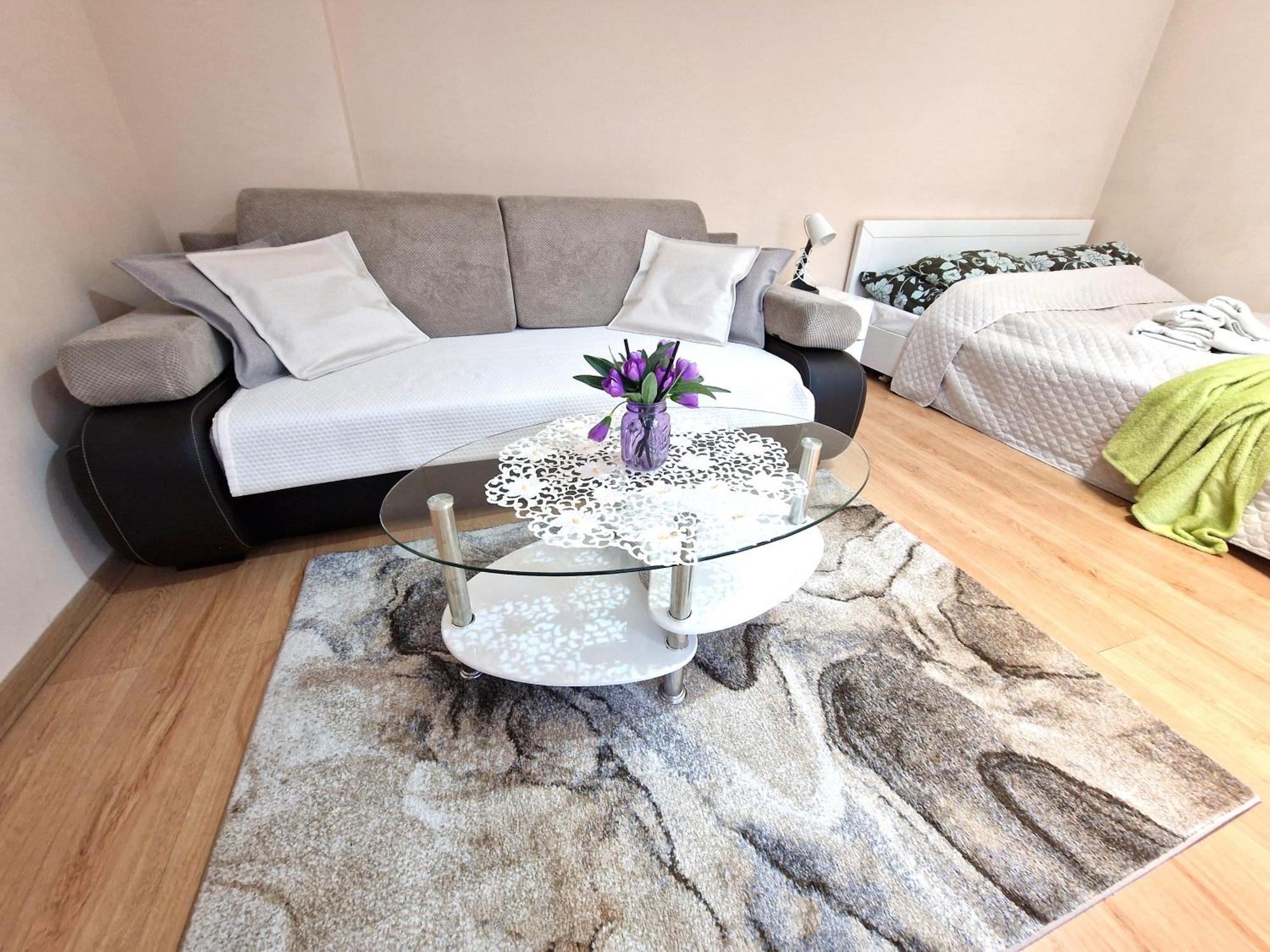 Aparthouse Apartamenty Centrum Sosnowiec Ngoại thất bức ảnh